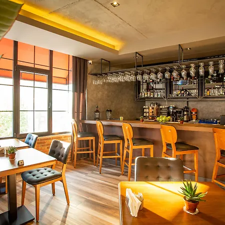 Levor 4* Bursa