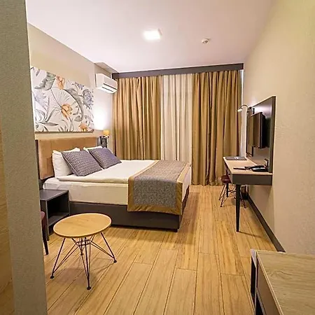 Hotel Levor Bursa